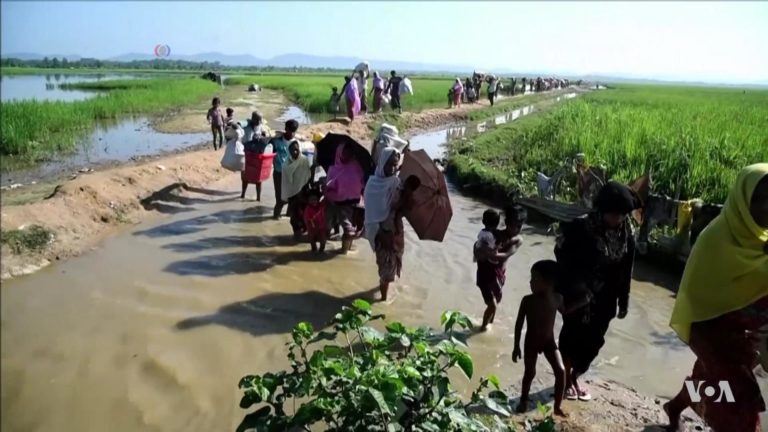 Rohingya refugees from Myanmar entering Bangladesh. 2017
