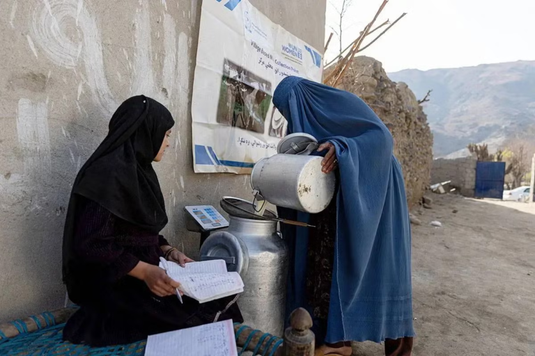 “Do Afghan lives matter?”, by Norah Niland.